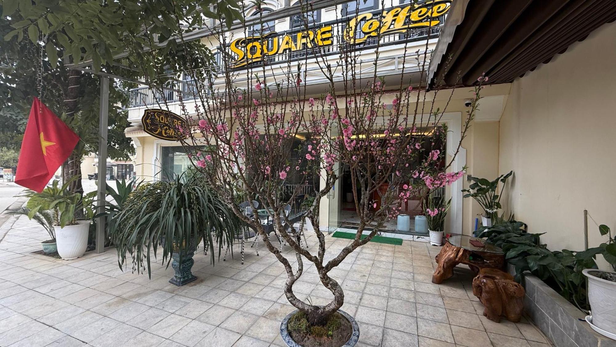 Square Homestay & Coffee Bac Ha  Extérieur photo